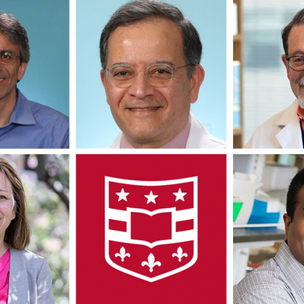 Five named National Academy of Inventors senior members