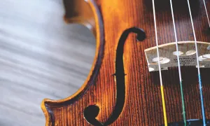 Close-up of a violin's strings and body