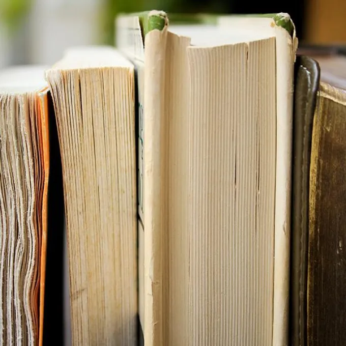 Photo of books lined up together 