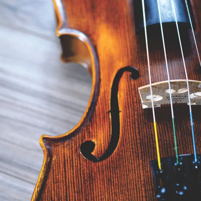 Close-up of a violin's strings and body